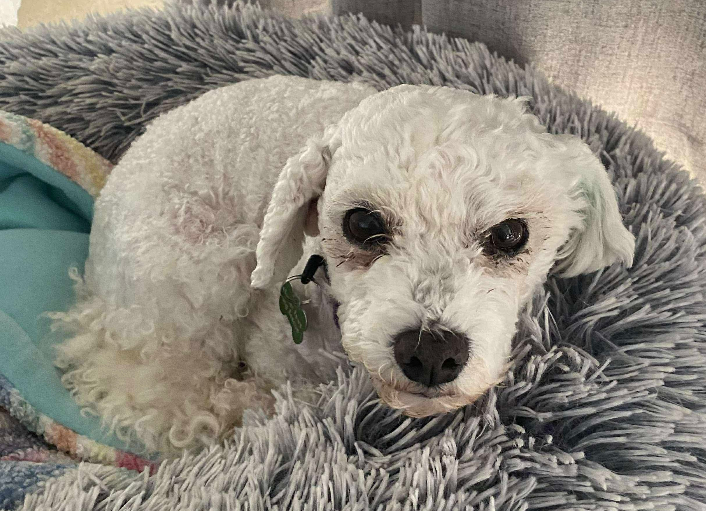 2042369E-C3C6-44FB-A651-25388D12CC37