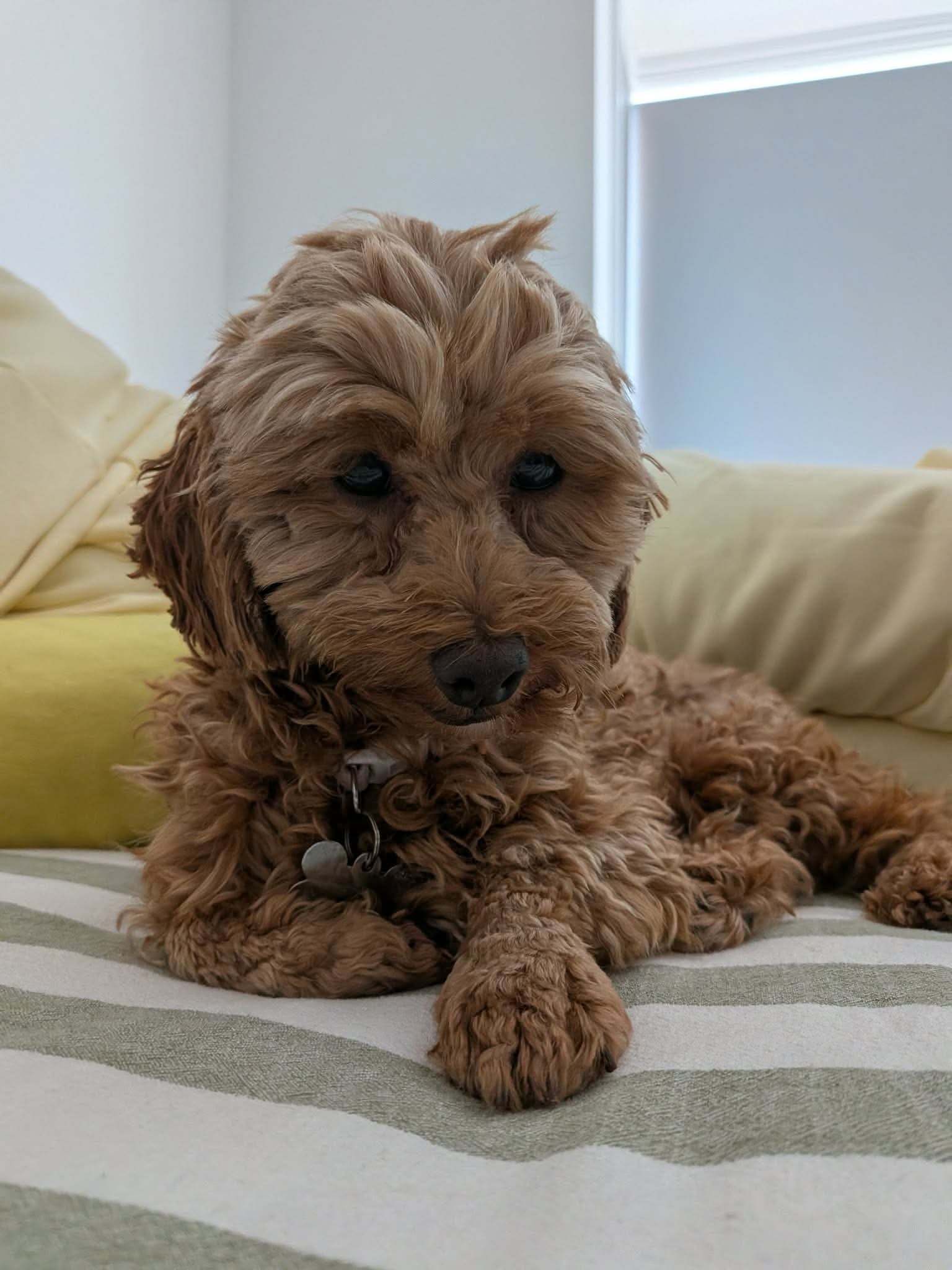 03faf3cdcedec2c12d27bb62945a21e8