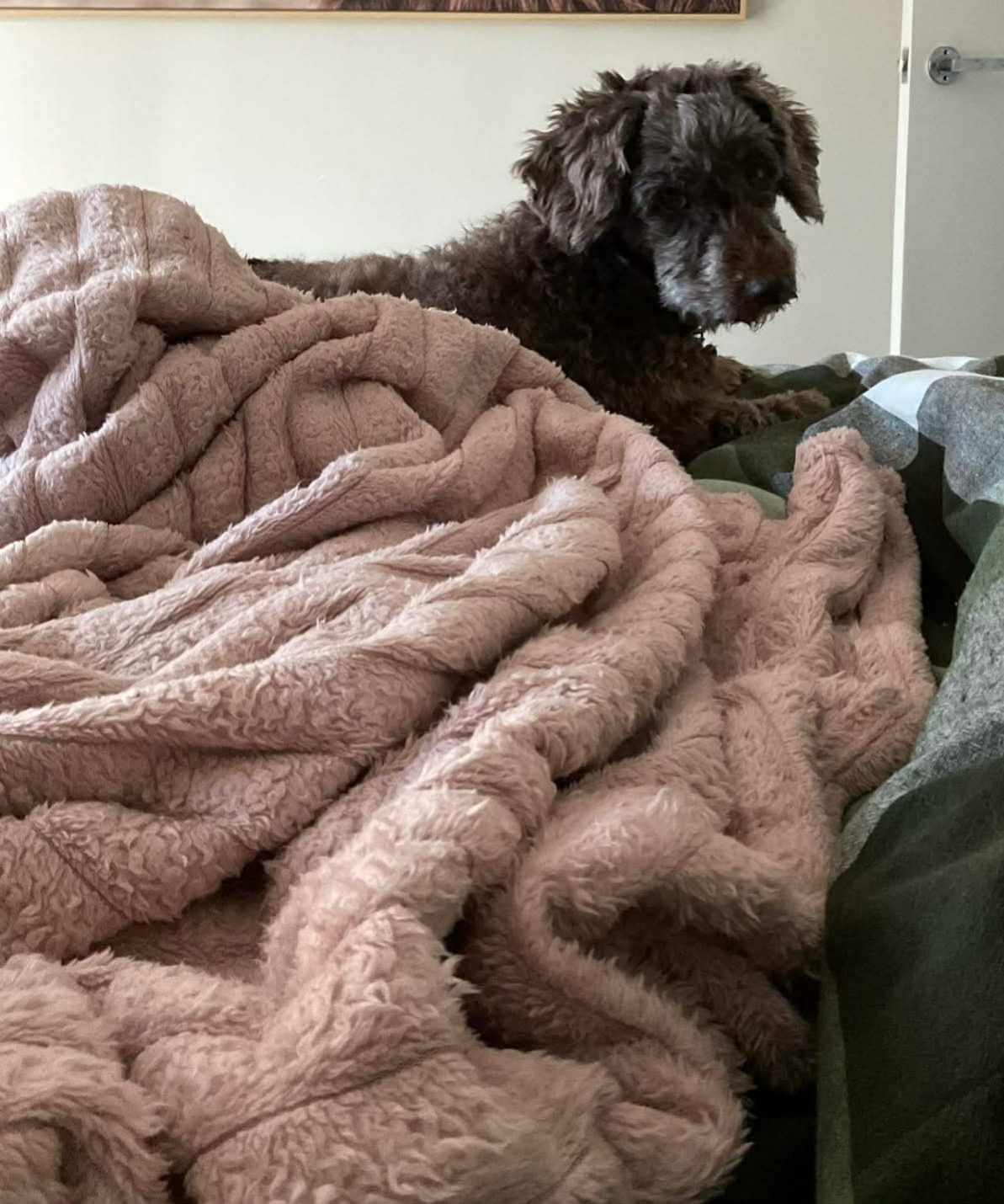 3F4D8E1D-FD2D-42CD-AA7E-726F6A65F999