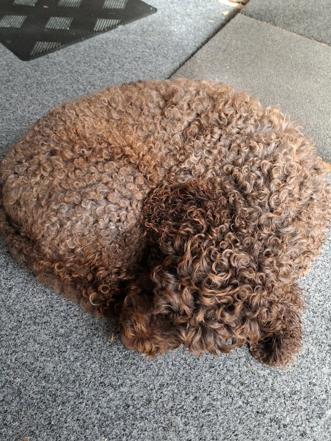 605C3639-26F4-4F26-A46B-D00766666A3A