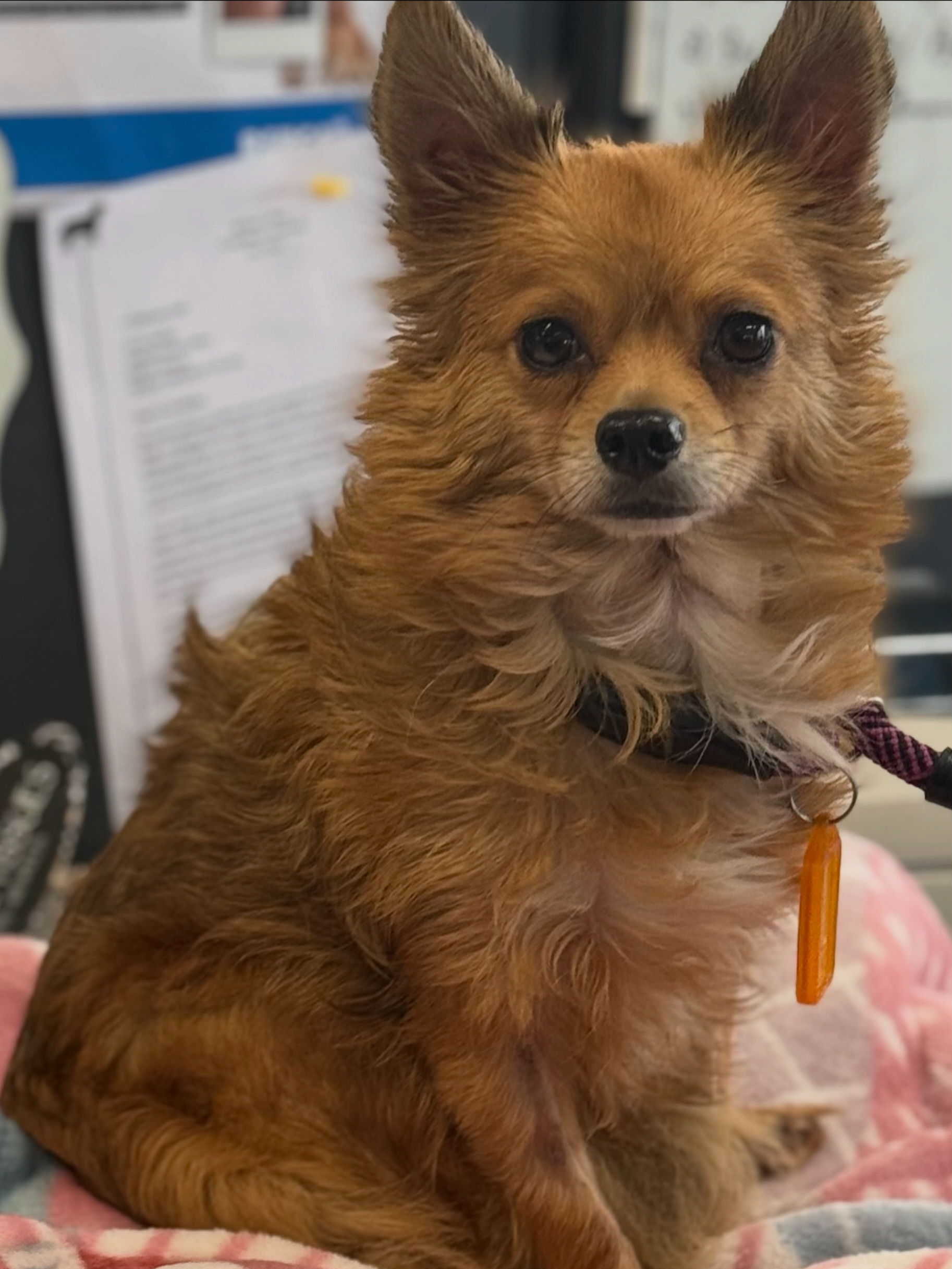 6B34D41B-6416-4789-B27F-92382D33CB4E