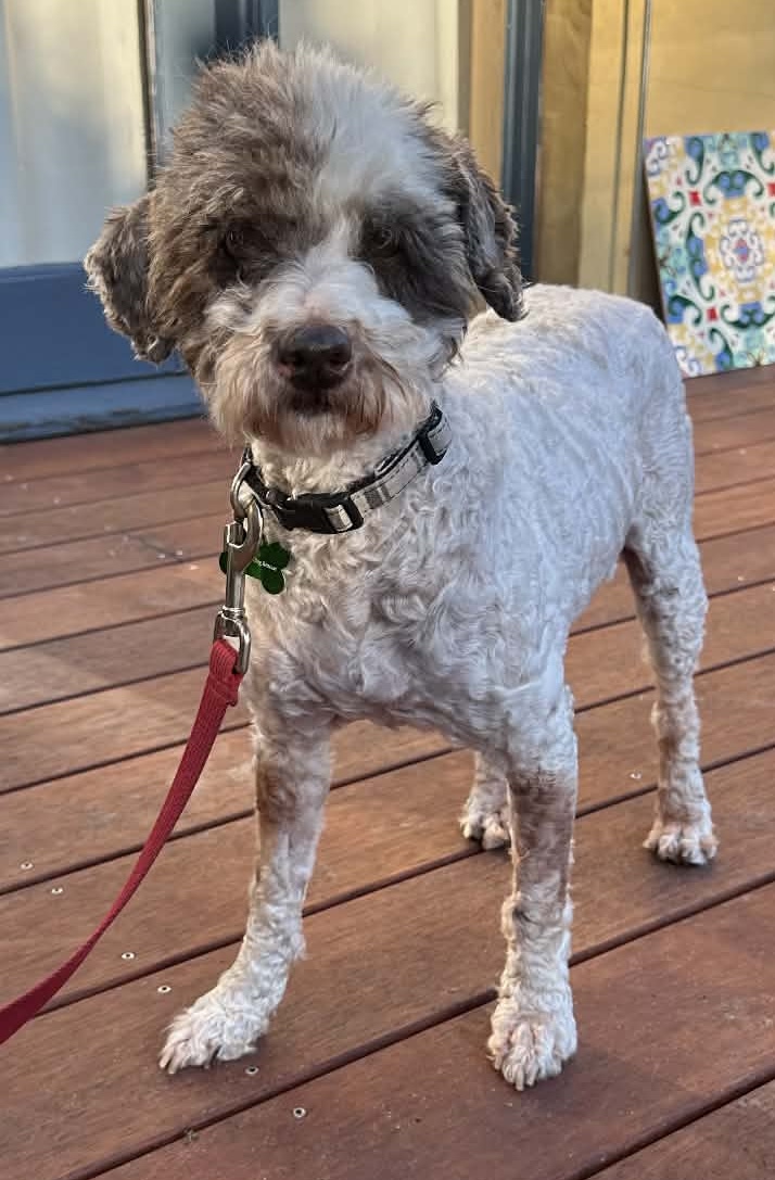 att.g4Q4RtC_I_I0eypP6PLU0cdCbTy1GkVTaxRH2g00fm4