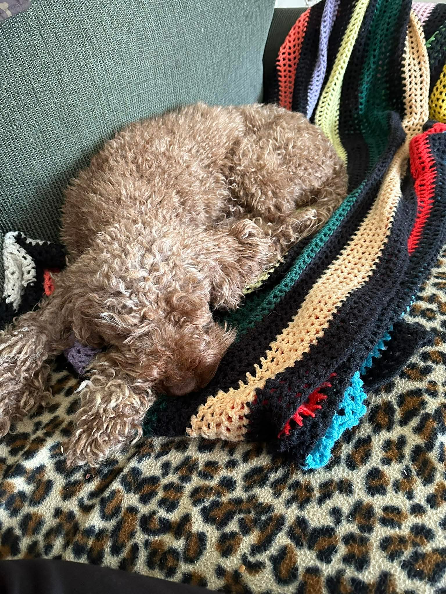 e30d99bfb90c5aceecaad2d1b8d8ad52