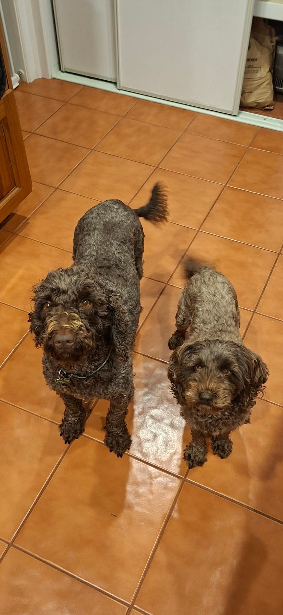 f9dc397cc5d403db3ca645dfb7330e2e